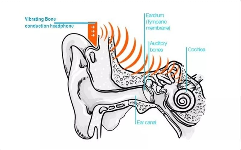 Công nghệ Bone conduction biến âm thanh thành&nbsp;rung động&nbsp;truyền qua xương tới ốc tai