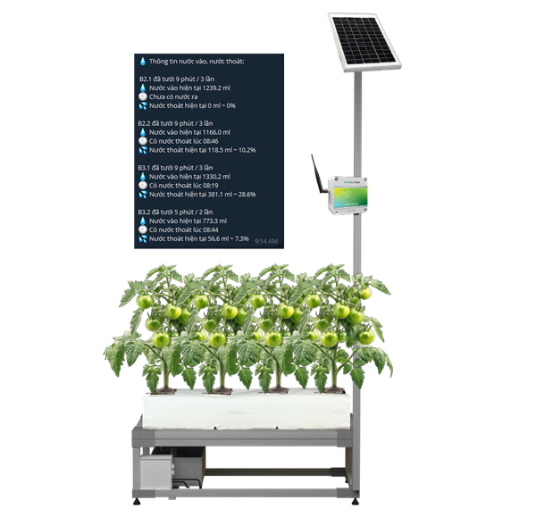 TCảm biến chậu đo nước thoát từ giá thể