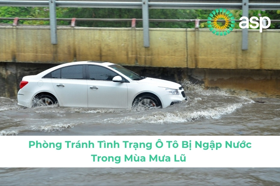 Cách Xử Lý Ô Tô Khi Bị Ngập Nước Mà Tài Xế Nào Cũng Cần Biết
