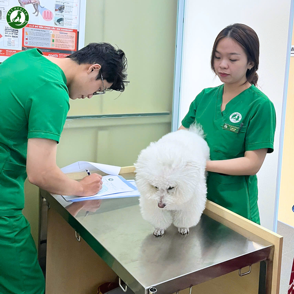 PetHealth là bệnh viện thú y 24/7. Bệnh viện có dịch vụ khám và điều trị thú cưng an chất lượng