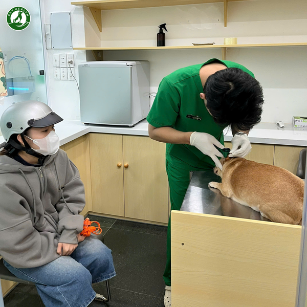 PetHealth là bệnh viện thú y 24/7. Bệnh viện có dịch vụ khám và điều trị thú cưng an toàn, chất lượng