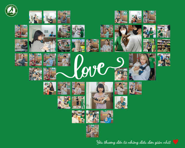 Bệnh viện thú y PetHealth được đông đảo khách hàng tin chọn