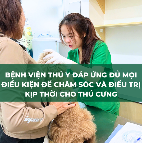 Bệnh viện thú y có thể đáp ứng được mọi yêu cầu trong việc thăm khám và điều trị thú cưng