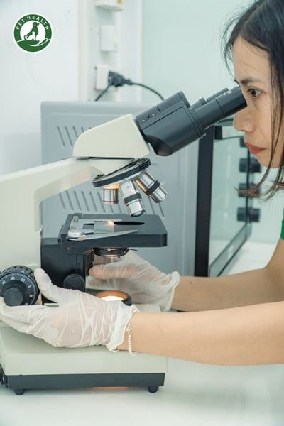 Phòng khám thú y PetHealth sở hữu trang thiết bị hiện đại