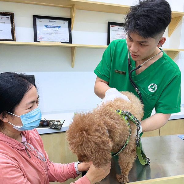 Khám thú cưng tại PetHealth bác sĩ sẽ khám tổng quát nhiều bước để phát hiện bệnh