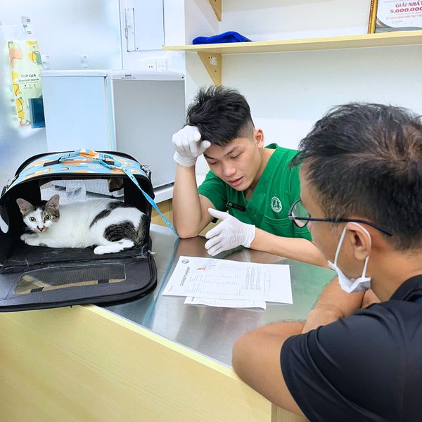 Khám thú cưng tại PetHealth chủ nuôi sẽ được thông tin và tư vấn rõ ràng