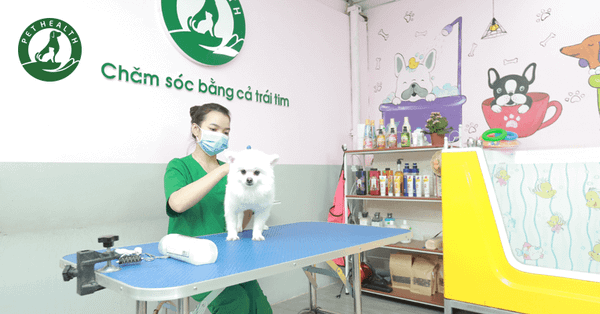 PetHealth cung cấp dịch vụ spa & chăm sóc thú cưng