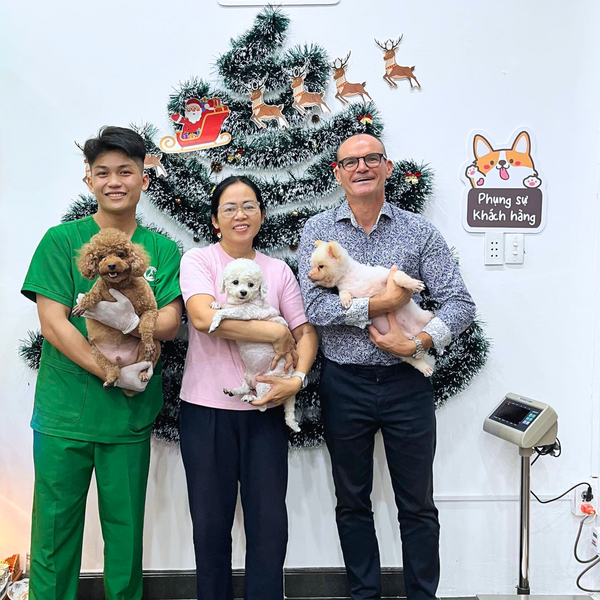 Spa cho chó mèo tại PetHealth đảm bảo có 6 bước spa chuyên nghiệp