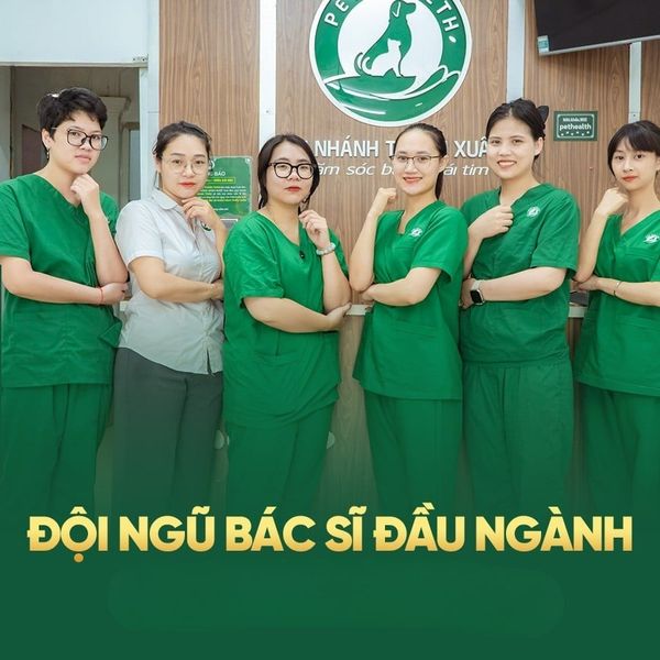 PetHealth có đội ngũ bác sĩ giàu kinh nghiệm trực 24/7