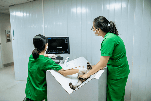 Thú y gần đây uy tín cần có trang thiết bị hiện đại