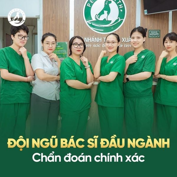 Thú y gần đây uy tín cần có đội ngũ bác sĩ chuyên nghiệp
