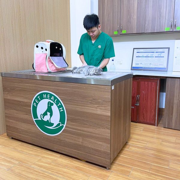 Tiêm phòng chó mèo là bước đơn giản nhưng vô cùng cần thiết mà chủ nuôi nên nhớ