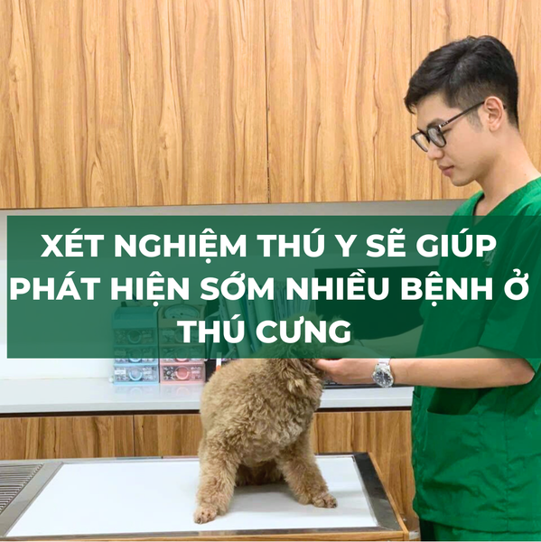 Xét nghiệm thú y sẽ giúp phát hiện sớm các bệnh nguy hiểm cho thú cưng