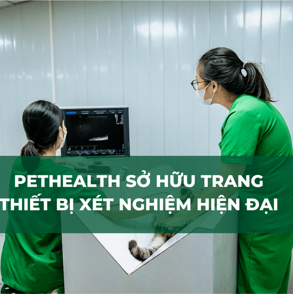 Bệnh viện thu ý PetHealth sở hữu trang thiết bị hiện đại đảm bảo quá trình xét nghiệm thu ý được tốt nhất
