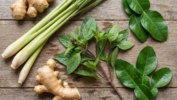 Các loại thảo mộc xông hơi giải cảm Việt Nam: sả, gừng, lá bưởi.