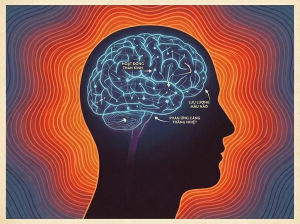 Minh họa tác dụng của nhiệt độ phòng xông hơi giúp tăng tuần hoàn máu não