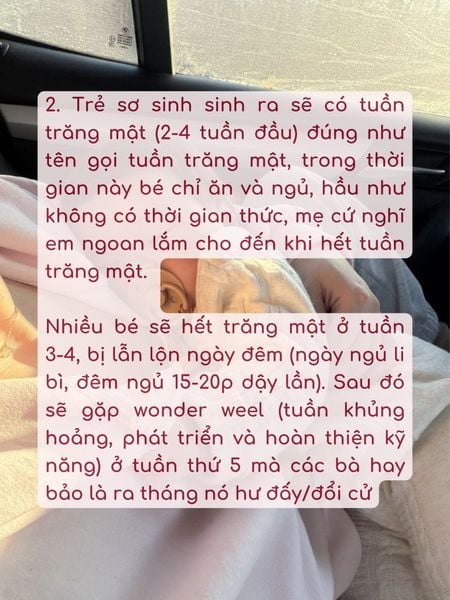 Hình ảnh bài viết