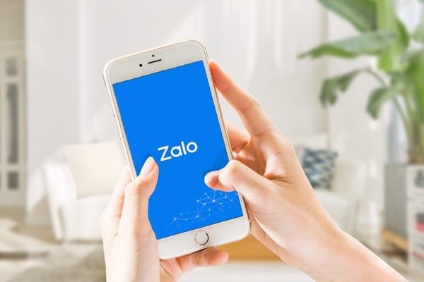 theo dõi Zalo đang ngày càng phổ biến
