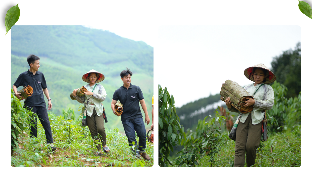 Dò số may mắn