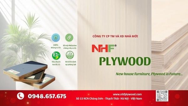 Mua các loại gỗ chất lượng, uy tín tại NHF Plywood