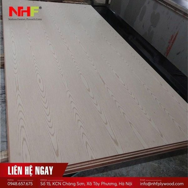 Giới thiệu về Veneer