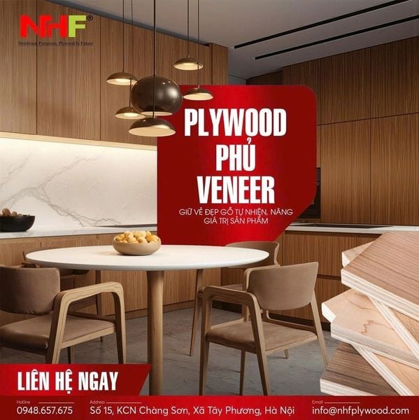 Khi nào nên lựa chọn Veneer?