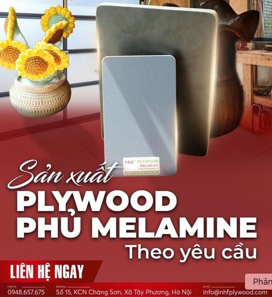 Địa chỉ cung cấp Plywood phủ Melamine cao cấp