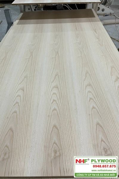Mua plywood phủ Veneer phủ gỗ sồi chất lượng, sản xuất theo yêu cầu tại NHF Plywood