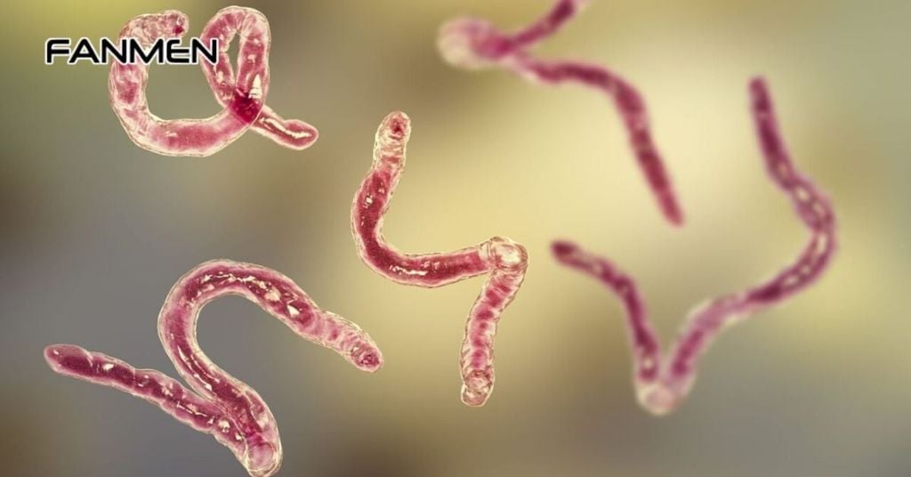 Ký sinh trùng gây ra hôi miệng như thế nào?