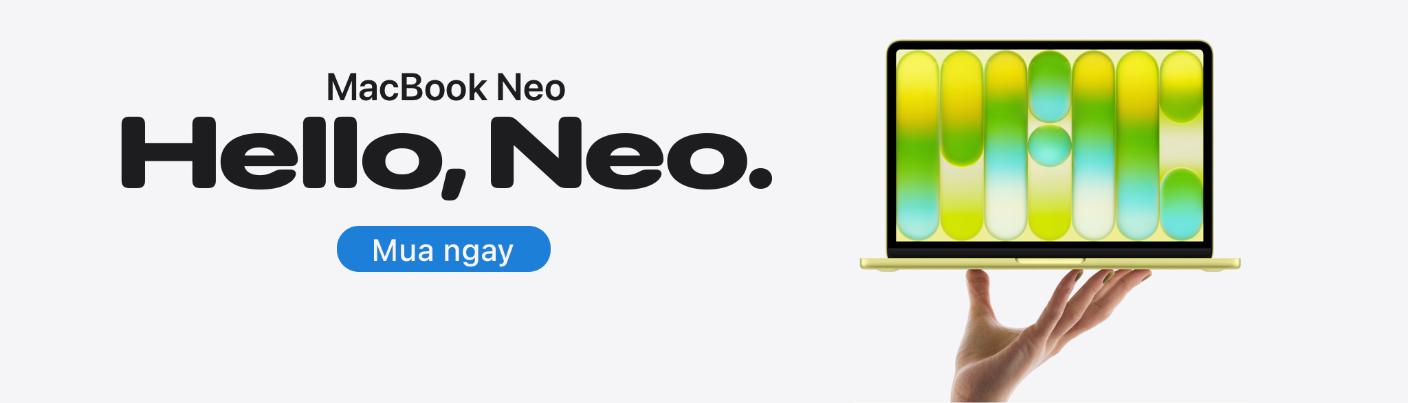 Macbook Neo