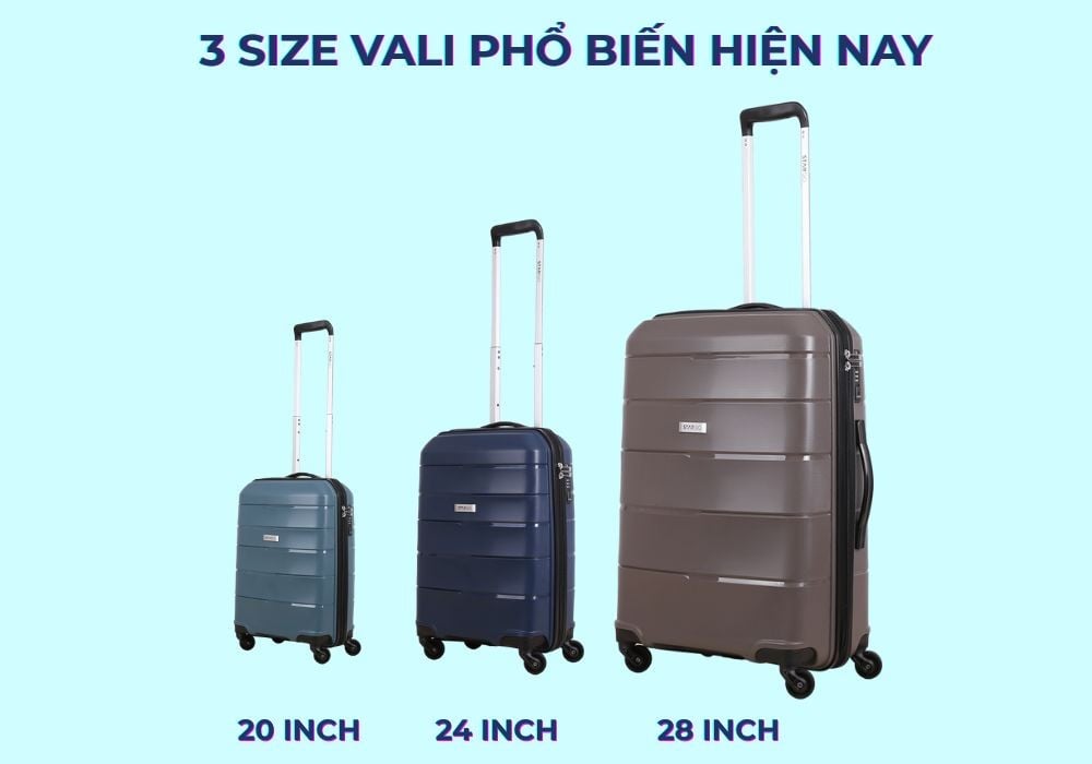 (Các size vali phổ biến hiện nay Nguồn: Stargo.vn)