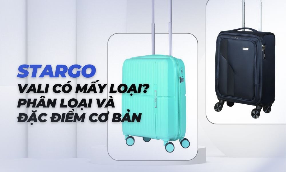 Vali được phân thành nhiều loại tùy theo đặc điểm (Ảnh: Stargo.vn)