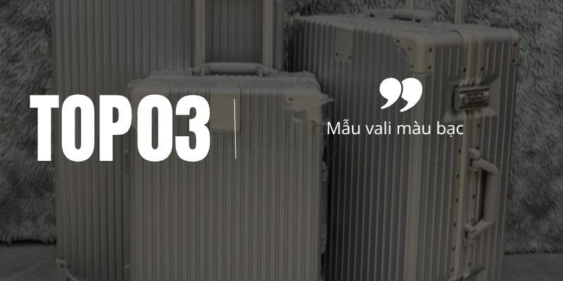 Màu bạc vali Stargo