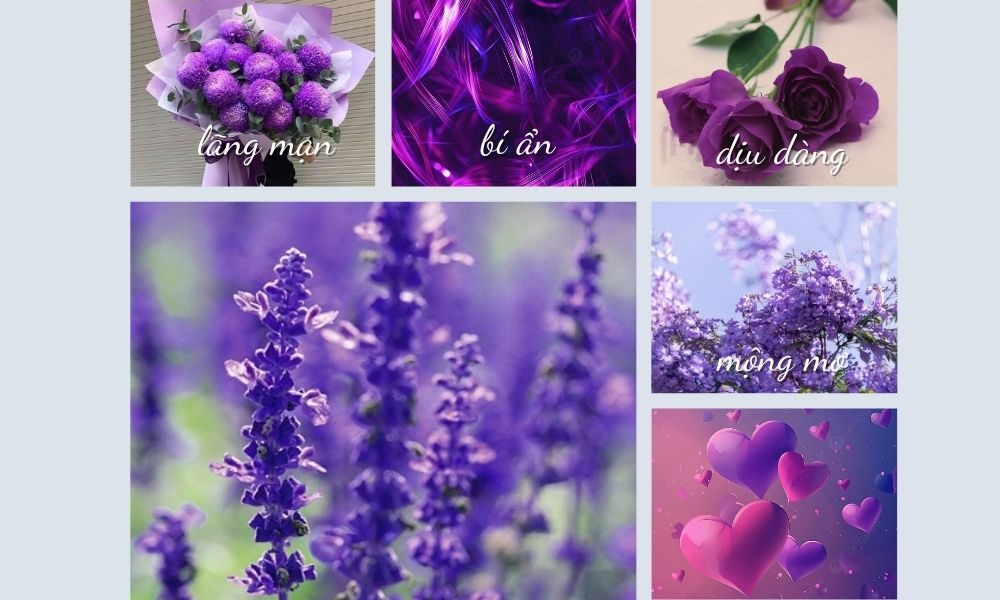 Ý nghĩa của màu tím (Ảnh: Stargo.vn)