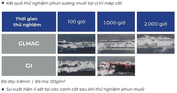 Kết quả thử nghiệm tại vết cắt