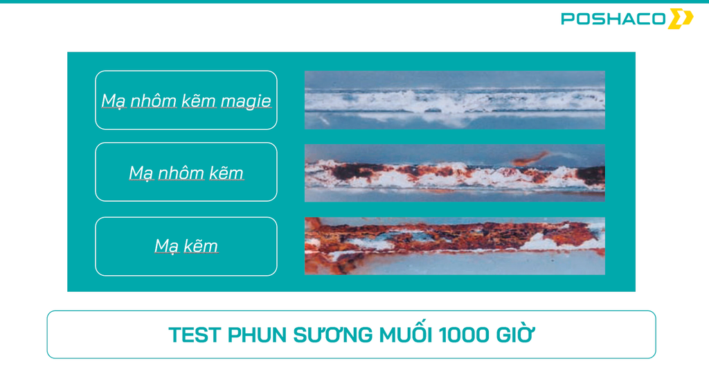 Test phun sương muối tôn magie