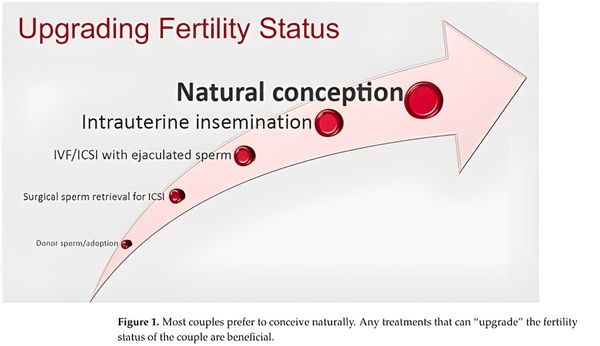 CHIA SẺ VỀ CA ĐIỀU TRỊ CHO NAM BỆNH NHÂN BỊ U NHỎ Ở TUYỂN YÊN TIẾT NHIỂU PROLACTIN