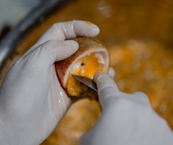 Lựa kỹ từng trái chanh dây chất lượng, tươi mọng