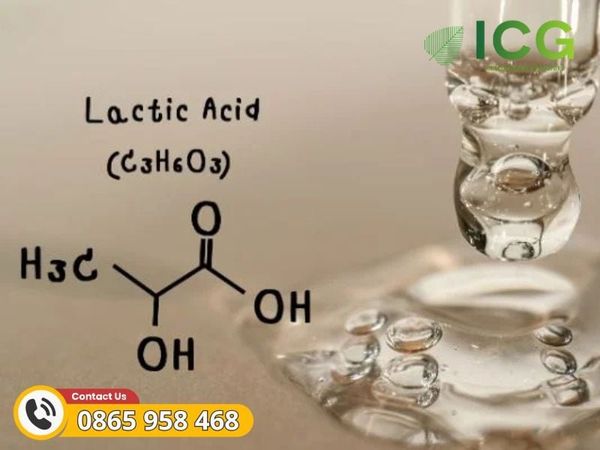 Lactic Acid là gì?