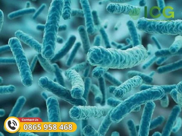 Ứng dụng Lactic Acid trong phòng thí nghiệm