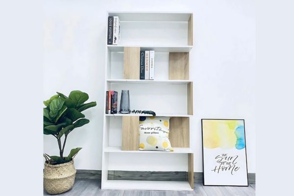 Mẫu kệ sách đứng với kinh nghiệm chọn