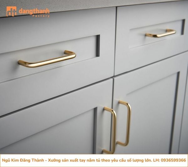 Mẫu tay nắm cầm căn hộ