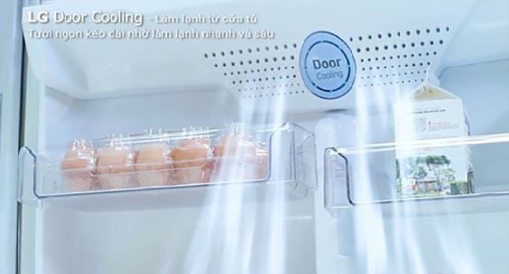 công nghệ DoorCooling+ trên tủ lạnh LG