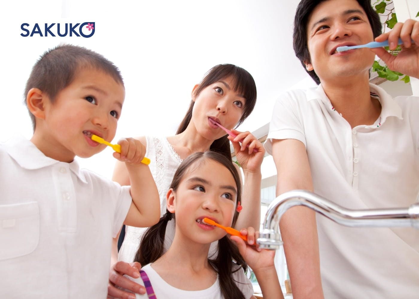 Tại sao bàn chải đánh răng Nhật Bản luôn được tin dùng?