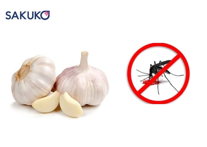 Cách đuổi muỗi trong phòng ngủ bằng tỏi tươi