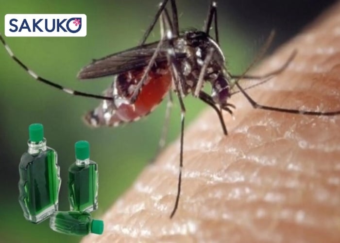 Cách đuổi muỗi trong phòng ngủ bằng dầu gió