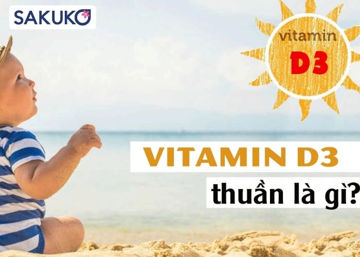 Vitamin D3 thuần là gì?