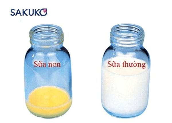 Sữa thanh Meiji có phải sữa non không?