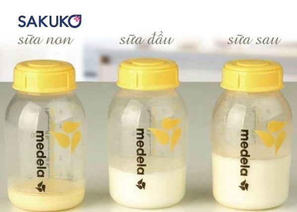 Sự khác nhau giữa sữa thanh Meiji và sữa non