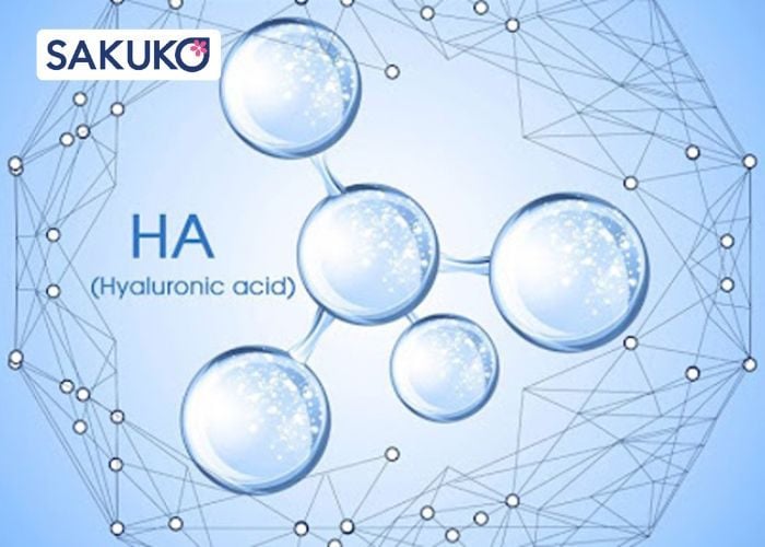 Hyaluronic Acid (HA)